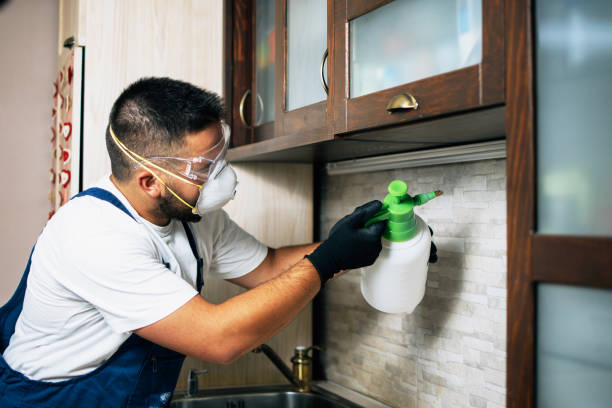 Best Best Pest Control Companies  in Lithia Springs, GA