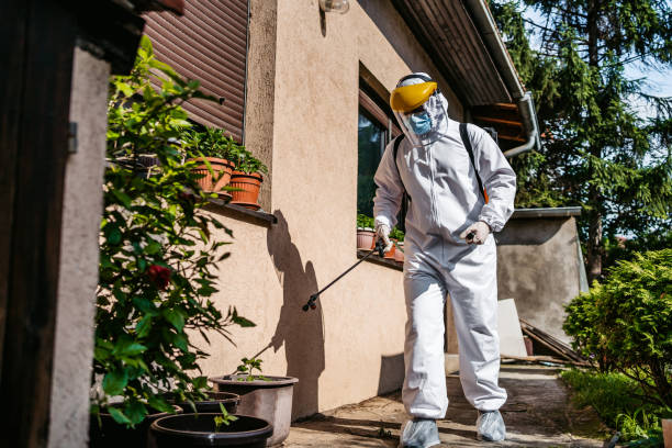 Best Wasp Removal Services  in Lithia Springs, GA