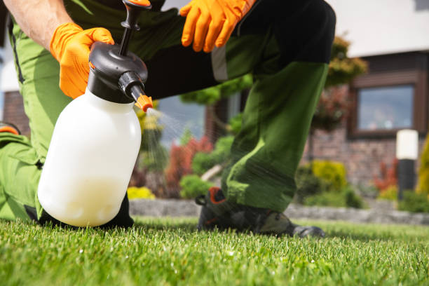 Flea Control Services in Lithia Springs, GA
