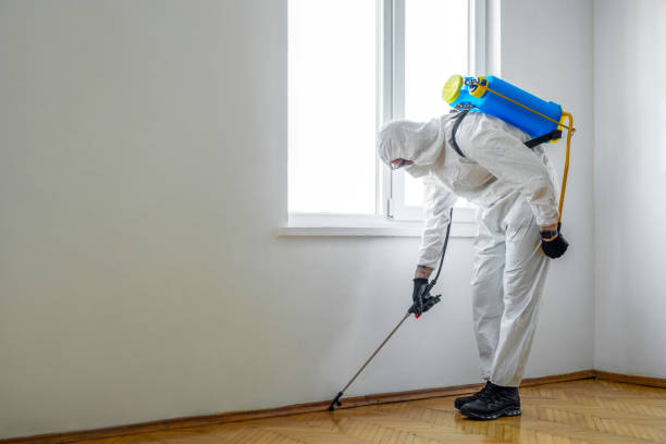 Best Local Pest Control Services  in Lithia Springs, GA
