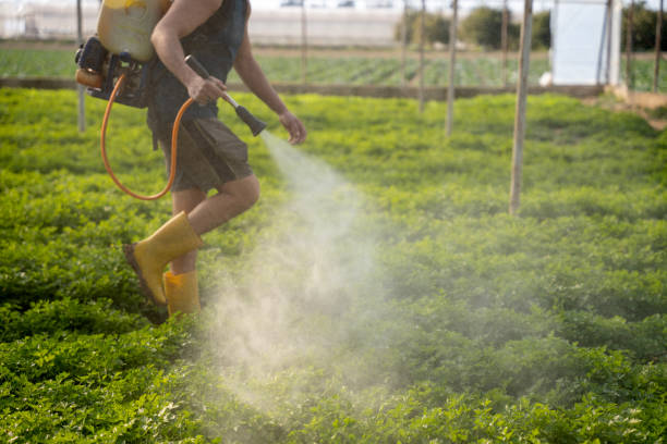 Reliable Lithia Springs, GA Pest Control Solutions