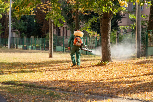 Best Bird Control  in Lithia Springs, GA
