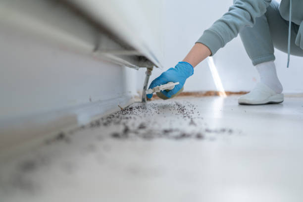Best Wildlife Control Services  in Lithia Springs, GA